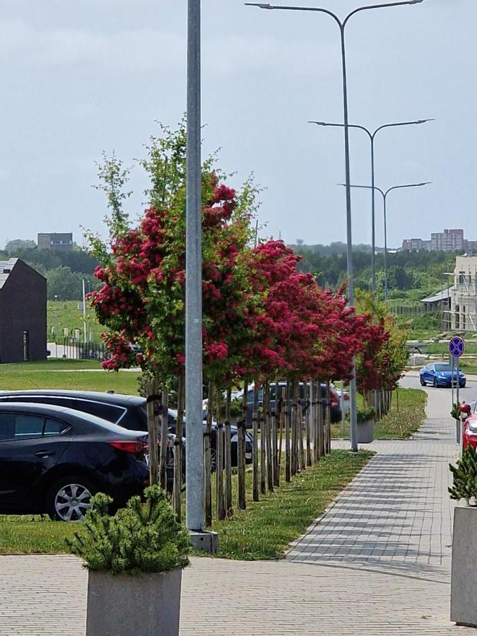 Apartamentai Ragaines Self Chec-In Free Parking Kłajpeda Zewnętrze zdjęcie